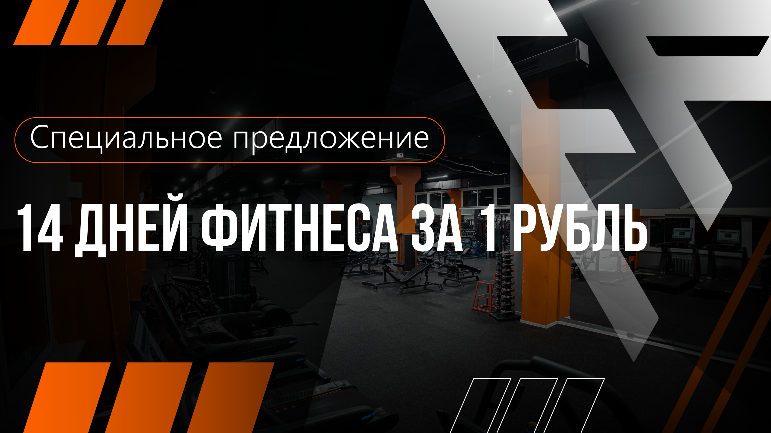 14днейai_Монтажная область 1-01 (1)